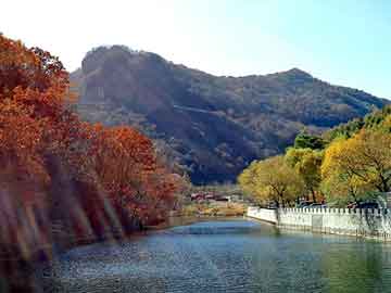 新澳天天开奖资料大全旅游团，余干seo软件